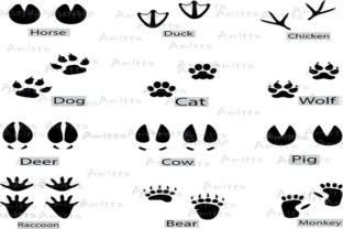 12 Animal Footprints Clipart: A Wild Collection for Creative Projects